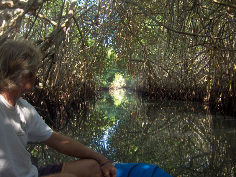 Mangrove Trip 049
