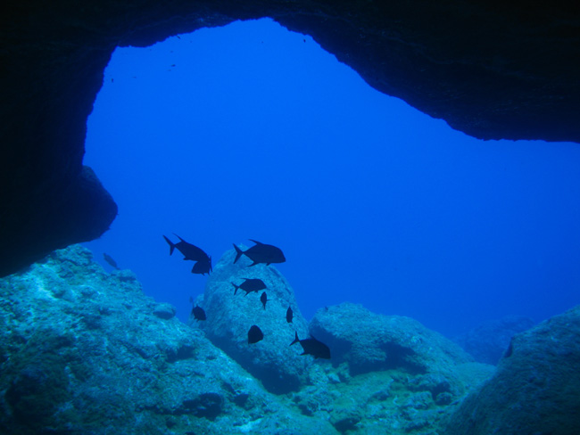 A Cave Dive in Nuie - by Cool Bananas (1)