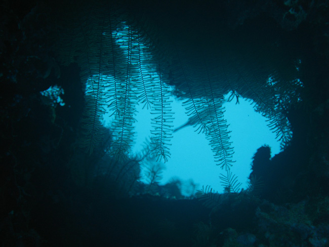 Looking out the cave - by Cool Bananas