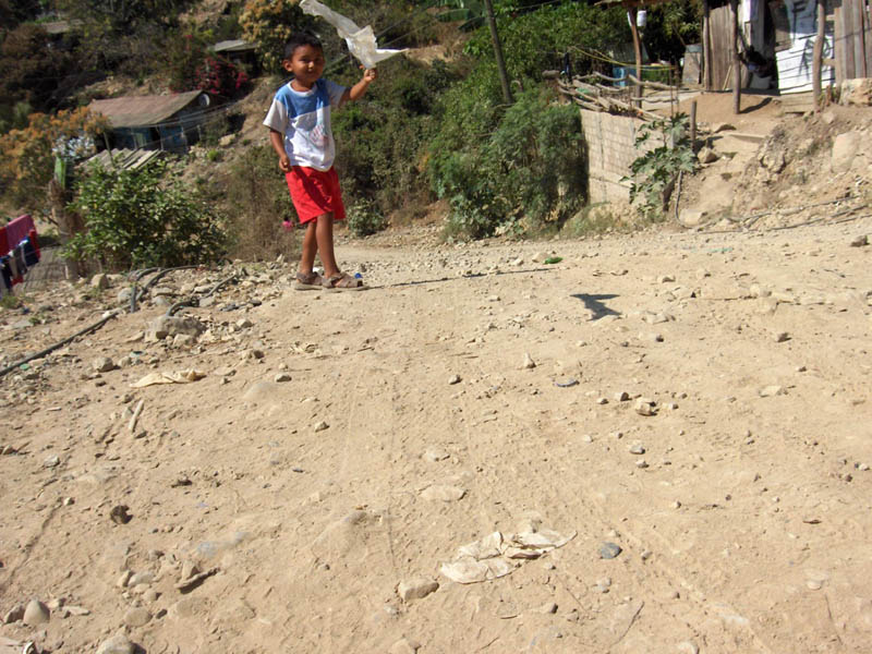 Boy with a kite