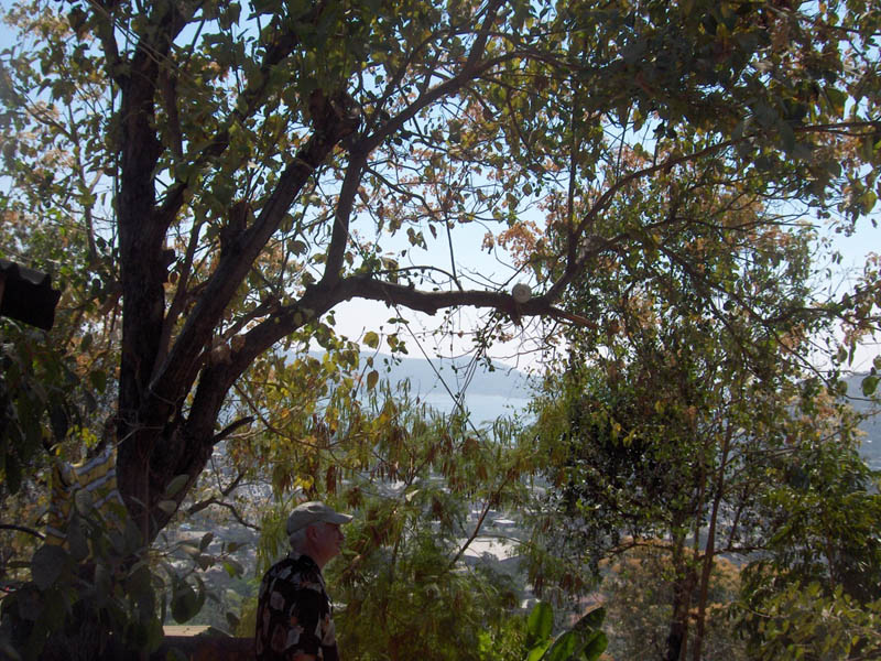 Breath taking view